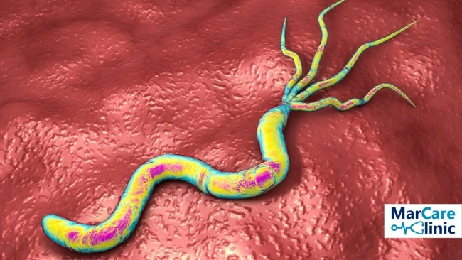 Relationship between Helicobacter Pylori