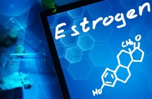 Men’s estrogen is vital