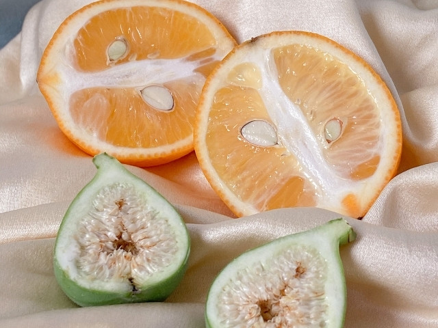 micronutriens goods
